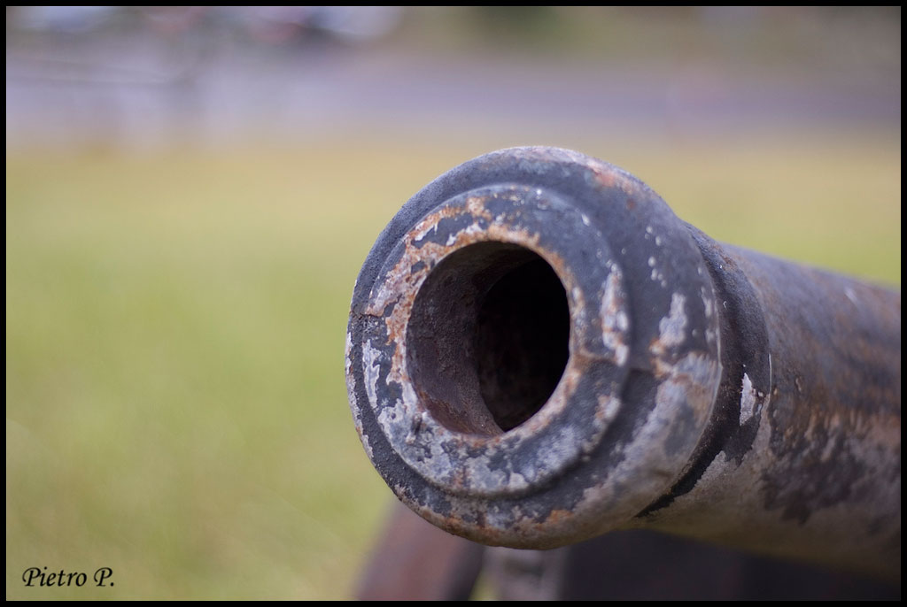 Cannone