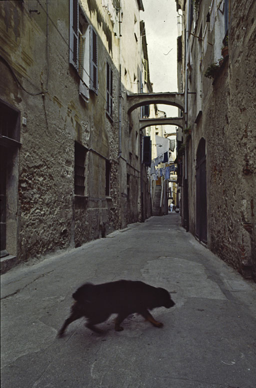 vecchia Albenga