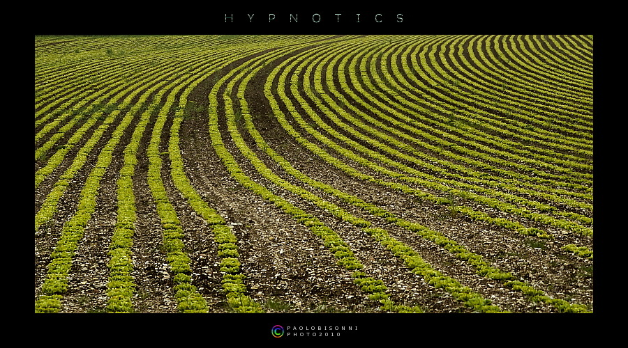 Hypnotics (color)