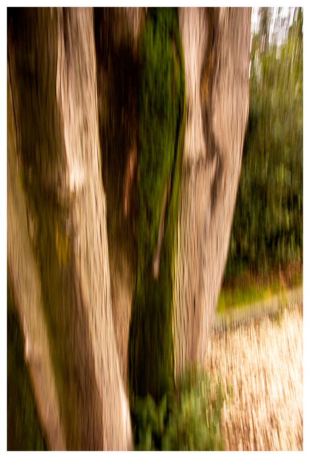 Realt distorta
