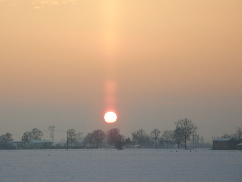 neve
