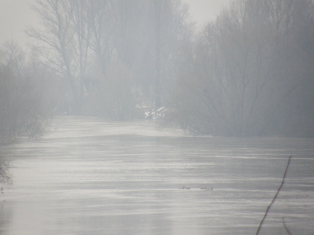 fiume in piena
