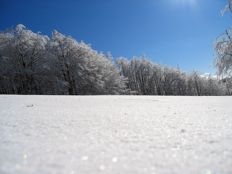 Neve 01