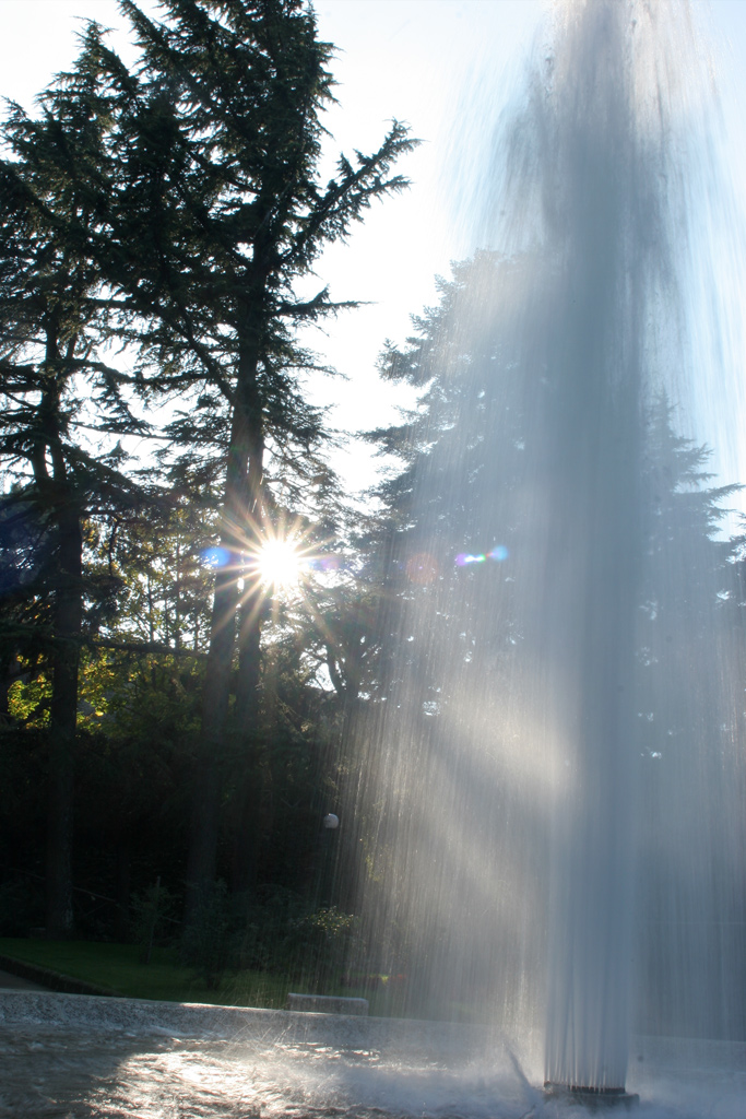 contro luce