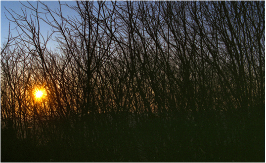 Il sole dietro