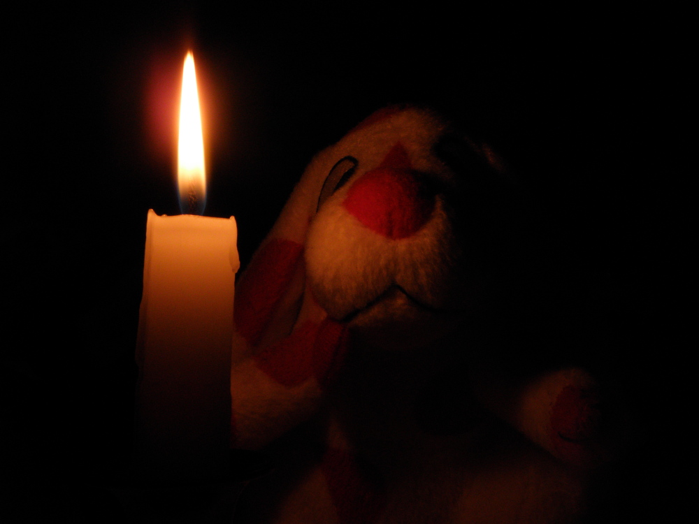 Pimpa horror