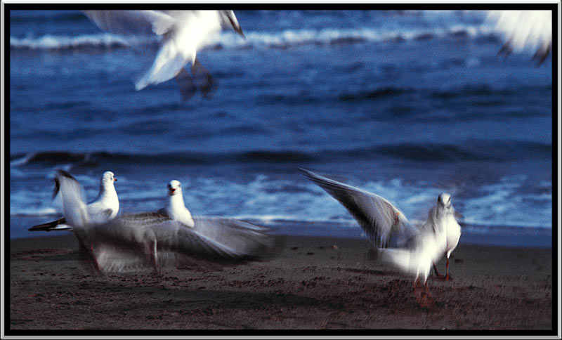 natura2