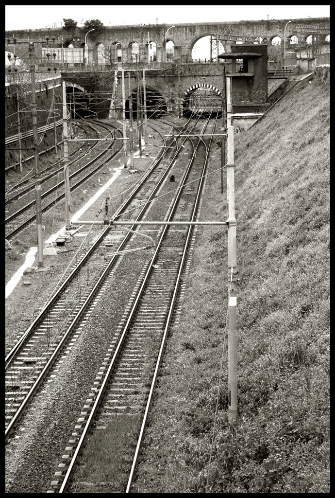 parallels_bn