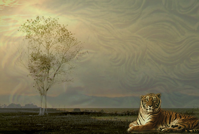 Il sogno