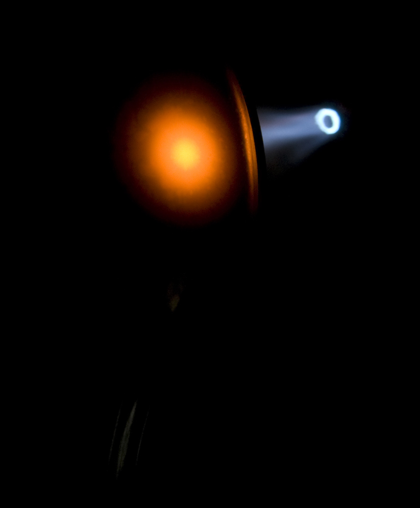 metamorfosi (3)