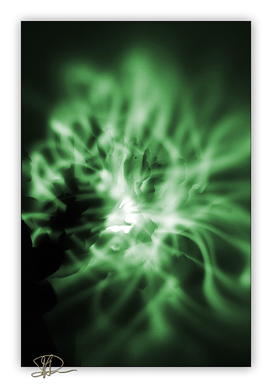 ECtosOmething