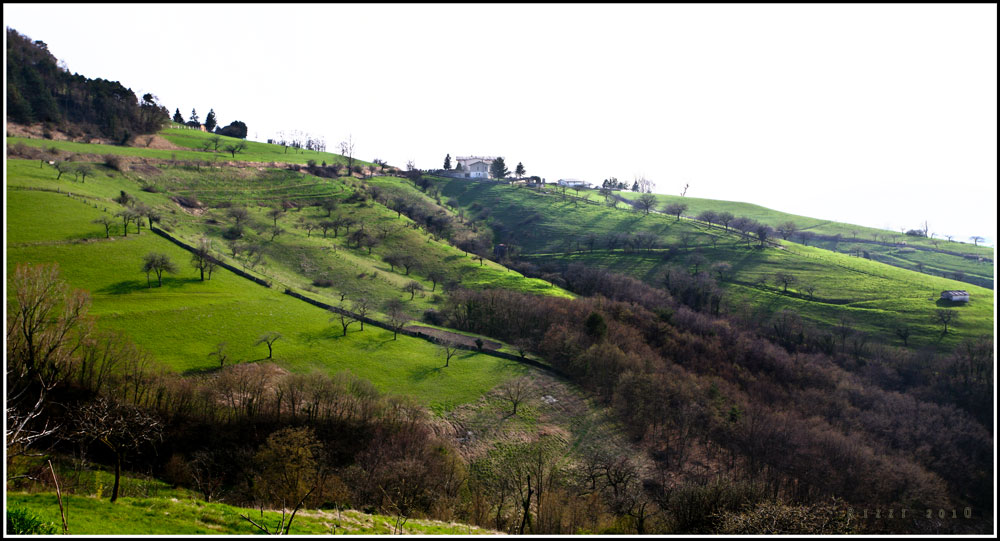 paesaggio lessino