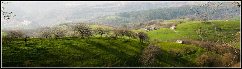 primavera lessina