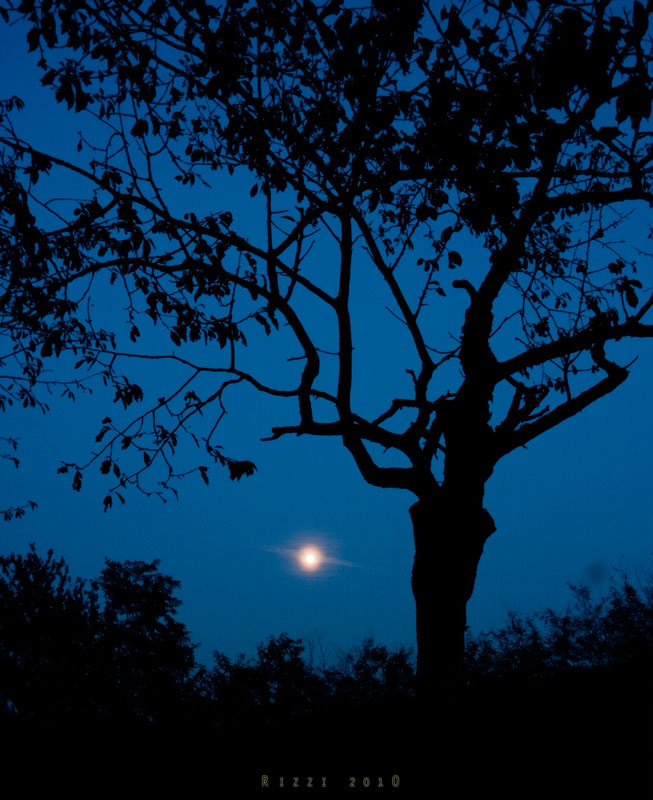 al chiaro di luna
