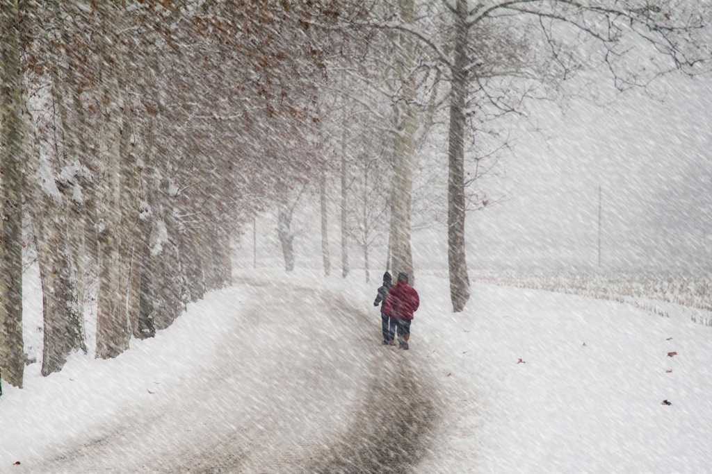NEVE