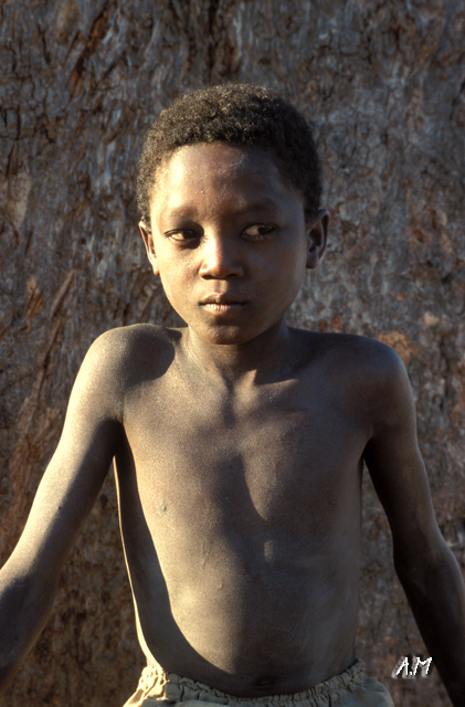 Madagascar - Bimbo a Morondava
