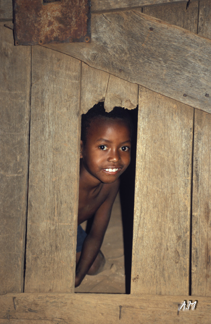Madagascar - Bimbo curioso