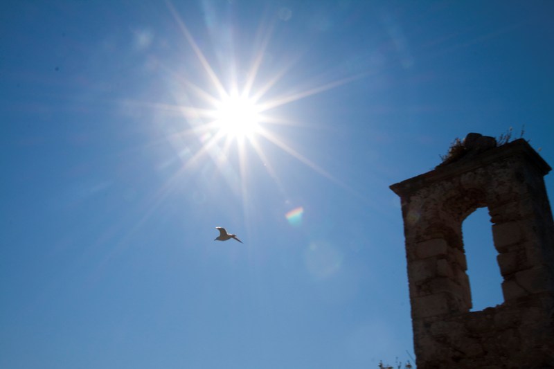 in volo