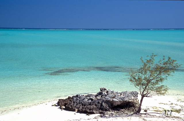 Madagascar - Costa occidentale 2