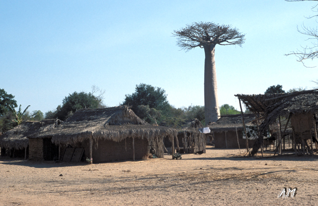 Madagascar - I villaggi della costa ovest