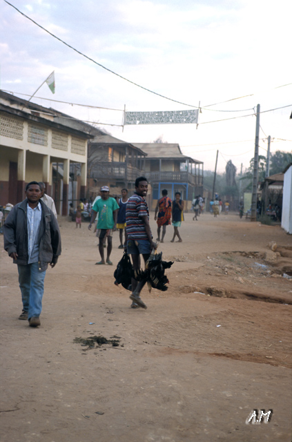 Madagascar - Il ragazzo dei polli di Manja