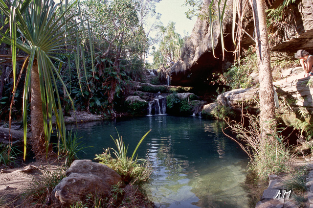 Madagascar - La Piscine Naturelle dell'Isalo N.P.