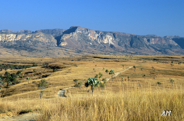 Madagascar - Massiccio dell'Isalo