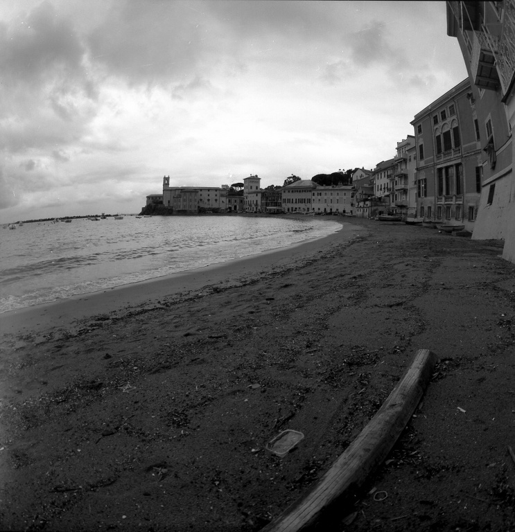 Portobello