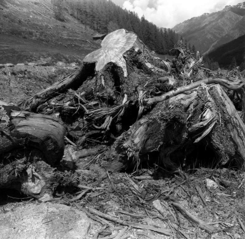 Cogne