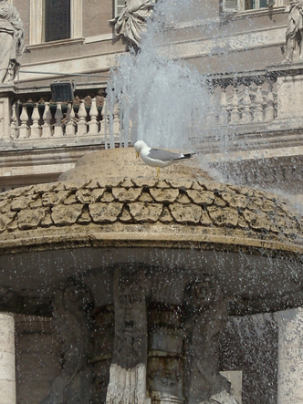 roma
