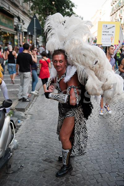 il pavone?