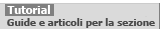 Tutorial di sezione