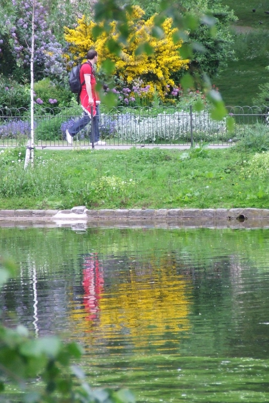 il riflesso