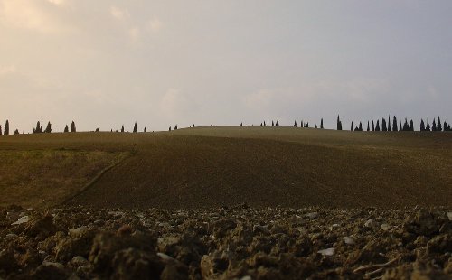 panorama