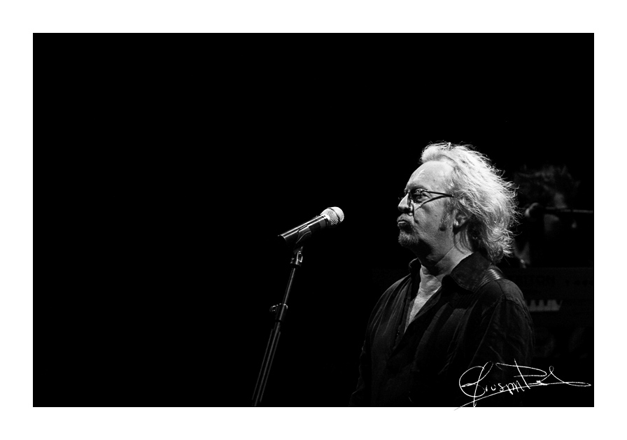 Umberto Tozzi: Live in Limbiate (20)