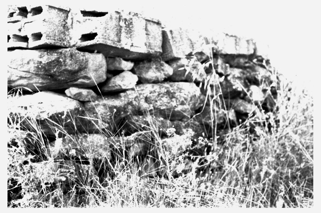 rocks