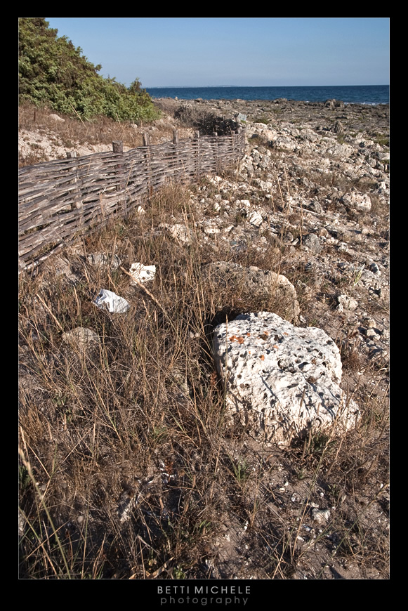 torre lapillo - puglia