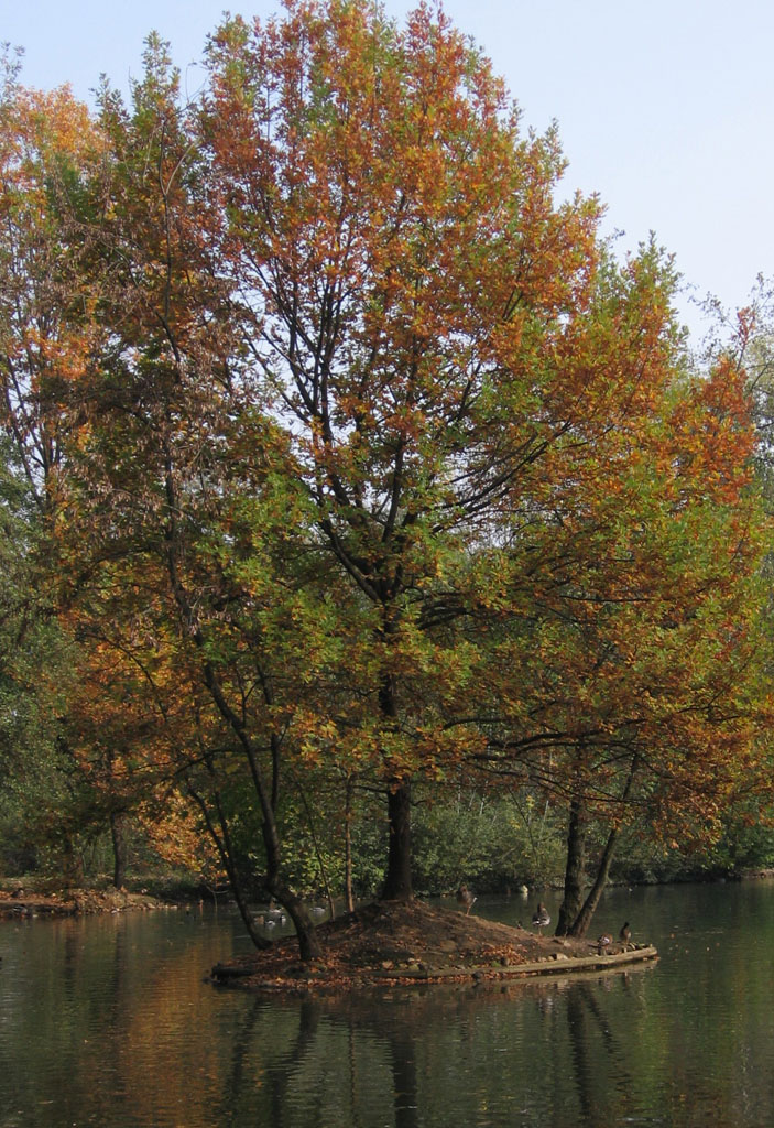 Parco Di Legnano 2
