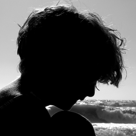 lucecontro_448*448