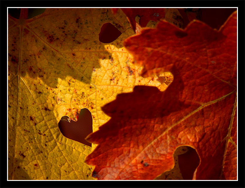 Giallo e rosso
