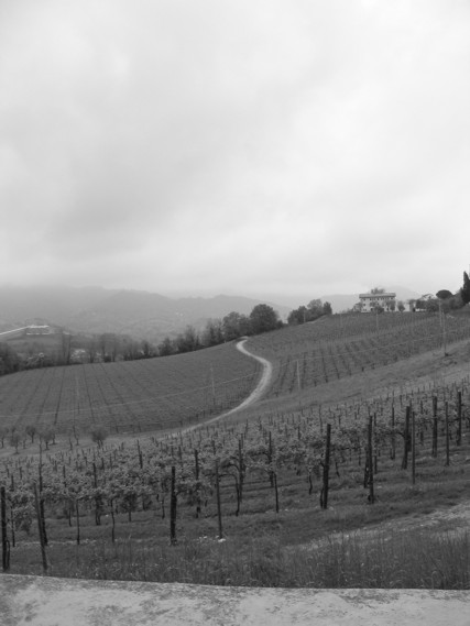 campi