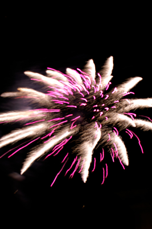 Edelweiss