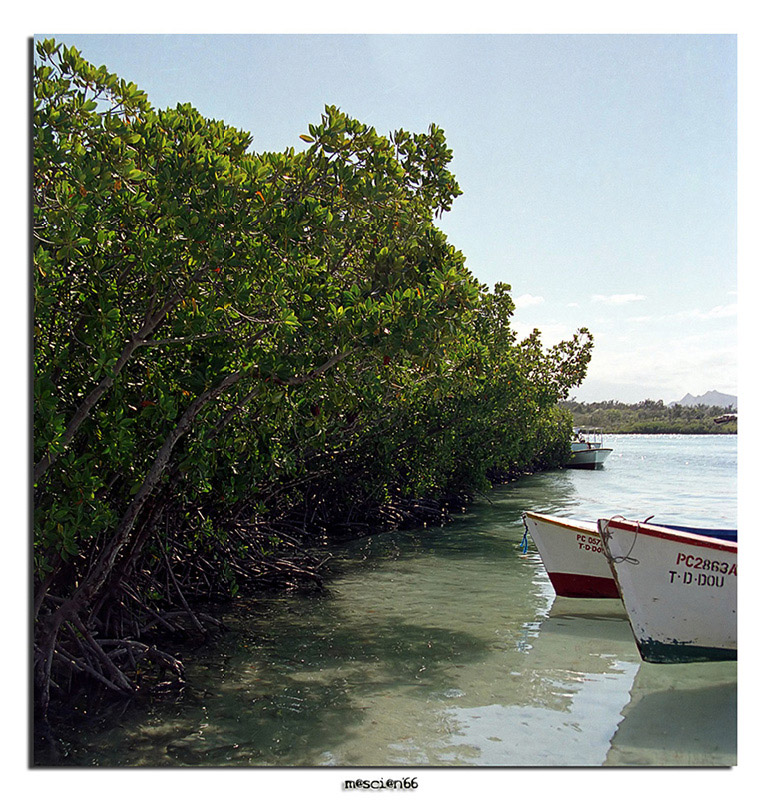 Le Mauritius...il matrimonio!