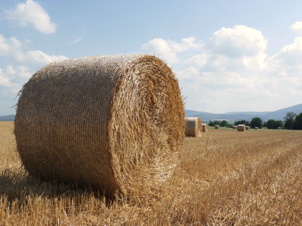 paesaggio toscano
