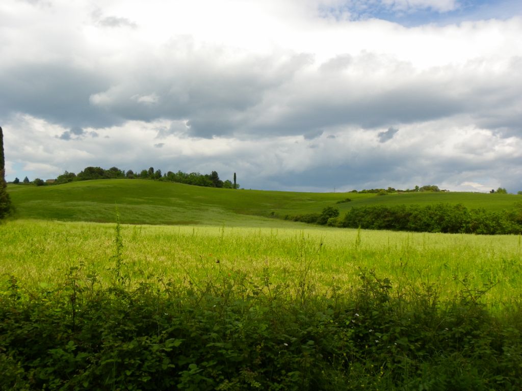 crete senesi