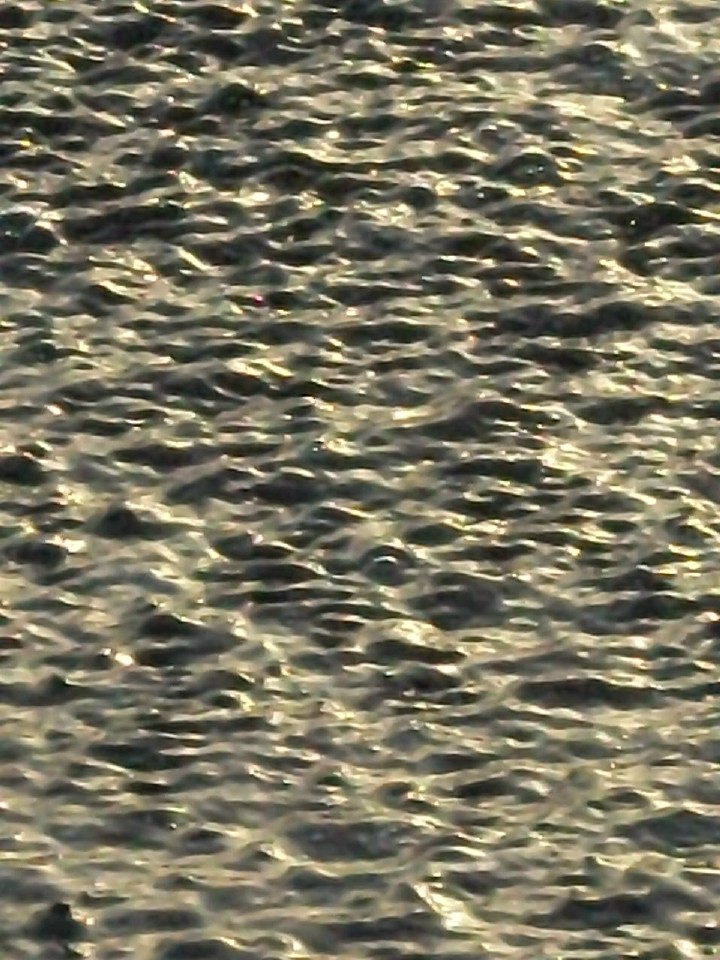 mare