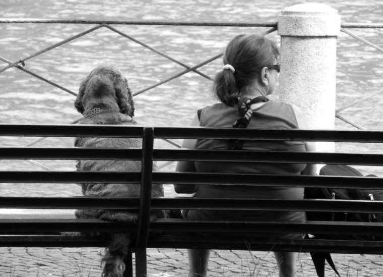 due generi animali