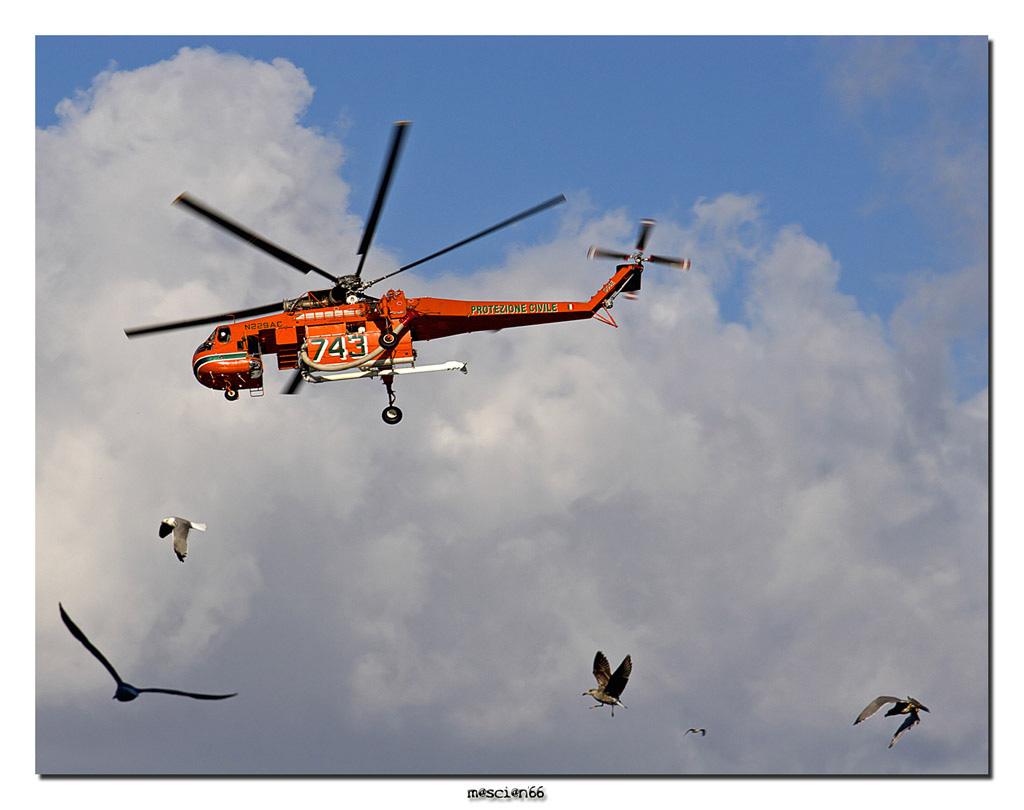 Frecce Tricolori (Alassio).
