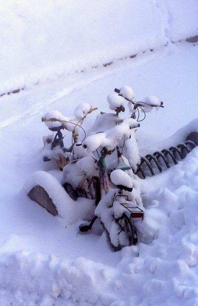 Biciclette abbandonate nella neve