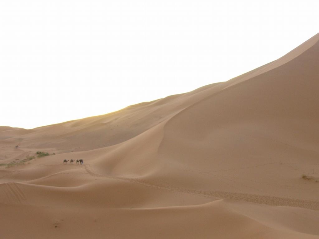 arrivando a destinazione